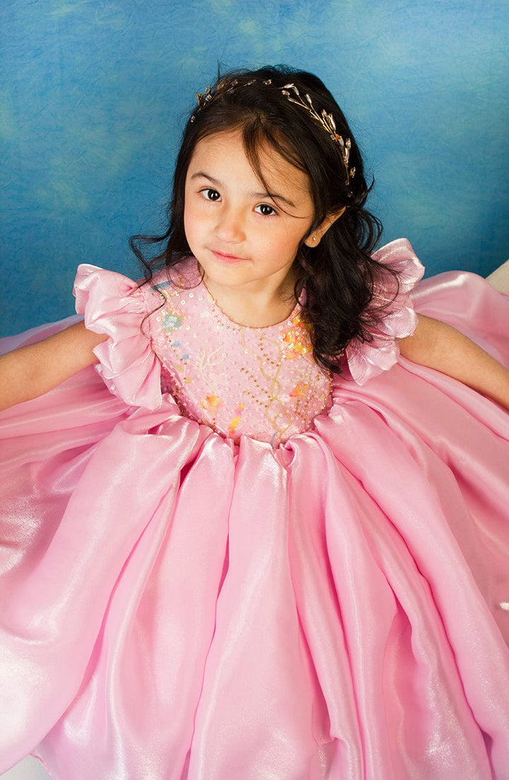 Crystal Swallow long frock for girls