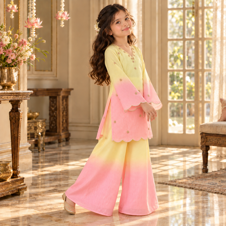 Candy Floss Ombre Pearl — Chanderi Sharara Set