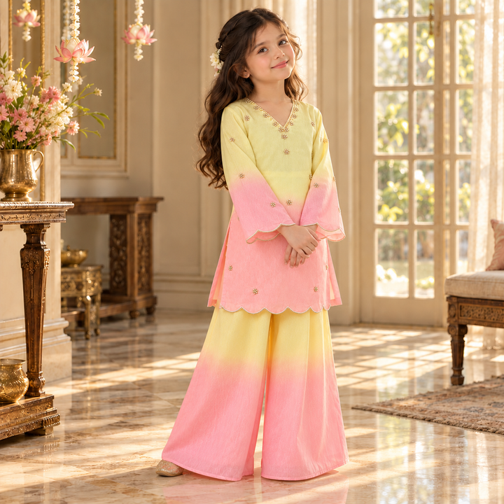 Candy Floss Ombre Pearl — Chanderi Sharara Set