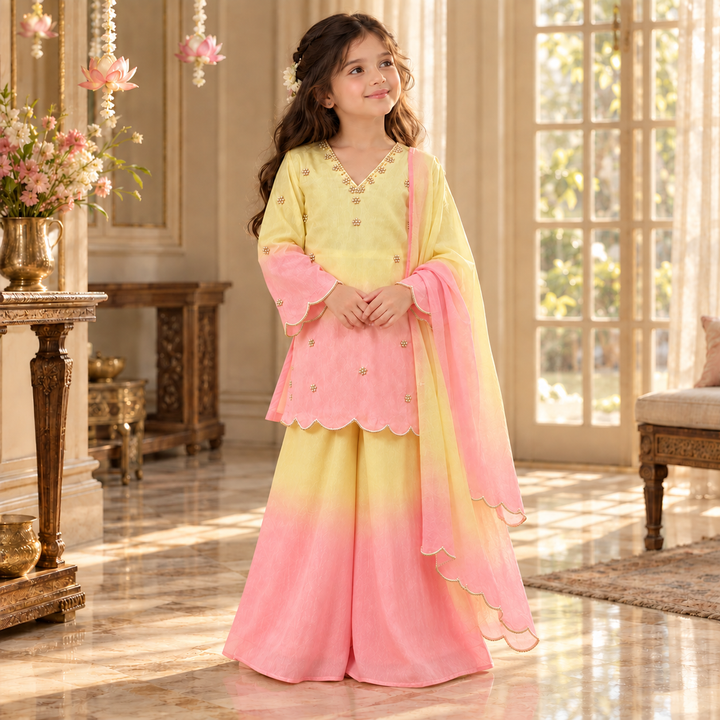 Candy Floss Ombre Pearl — Chanderi Sharara Set