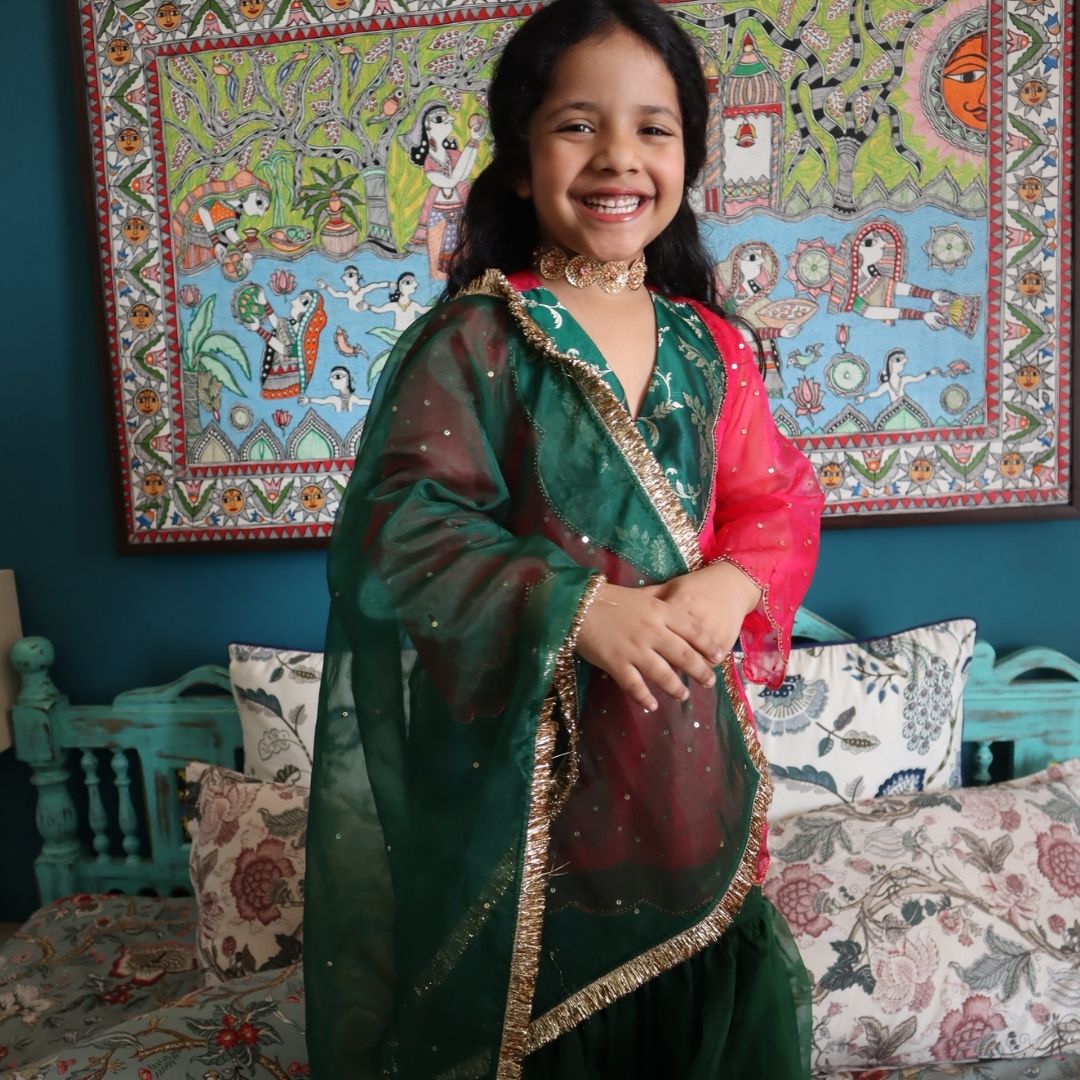 Hyderabad upscale Eid party pink organza ensemble