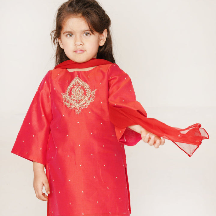 Luxury red ethnic wear for girls for Eid and haldi in South Delhi