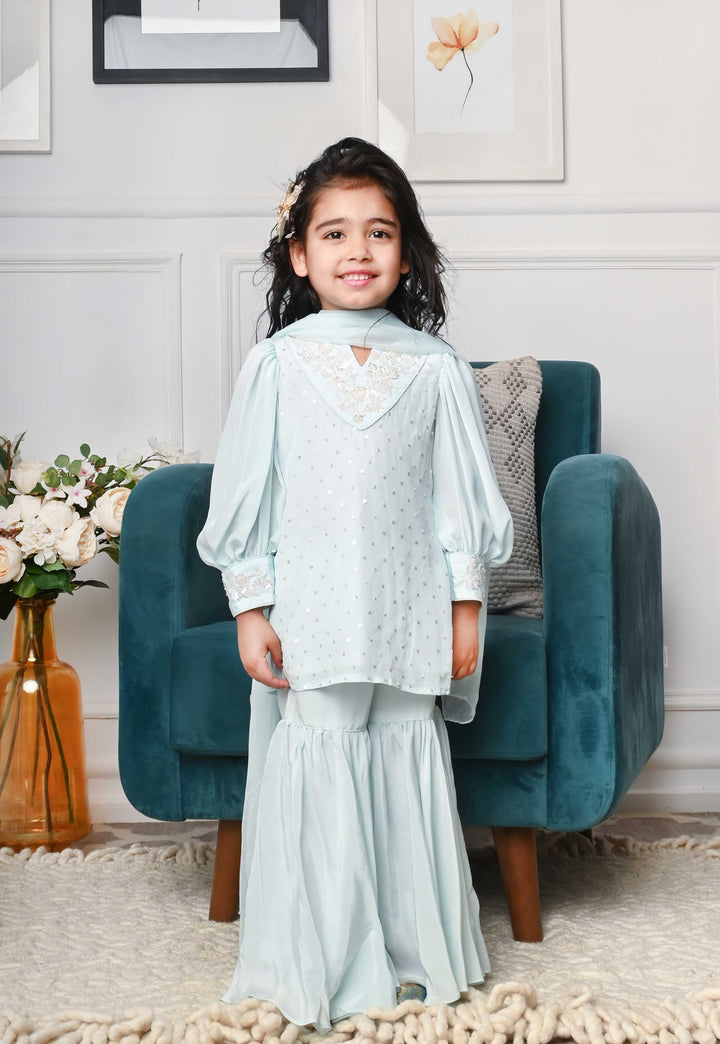 Premium aquablue  sharara set for girls traditional ethnic wear India US