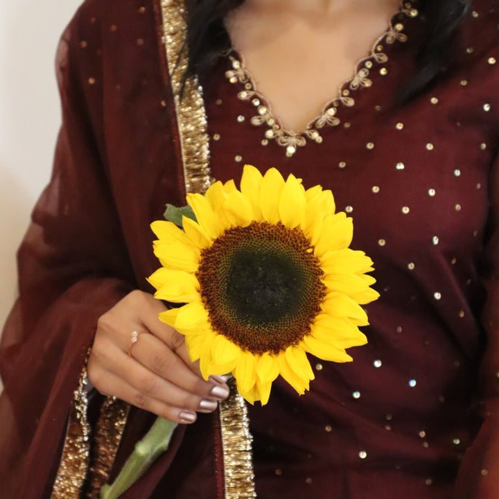 Rich chocolate wine farshi salwar set for Eid Diwali Rakhi and Ganesh Chaturthi